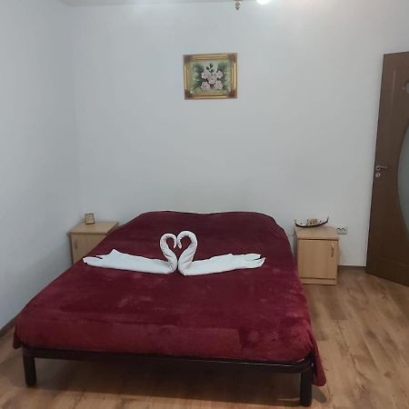Apartament Nemira سلانيك مولدوفا المظهر الخارجي الصورة