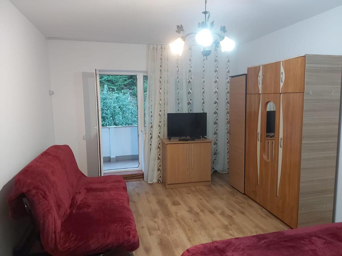 Apartament Nemira سلانيك مولدوفا المظهر الخارجي الصورة