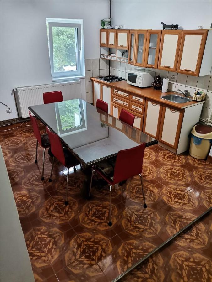 Apartament Nemira سلانيك مولدوفا المظهر الخارجي الصورة