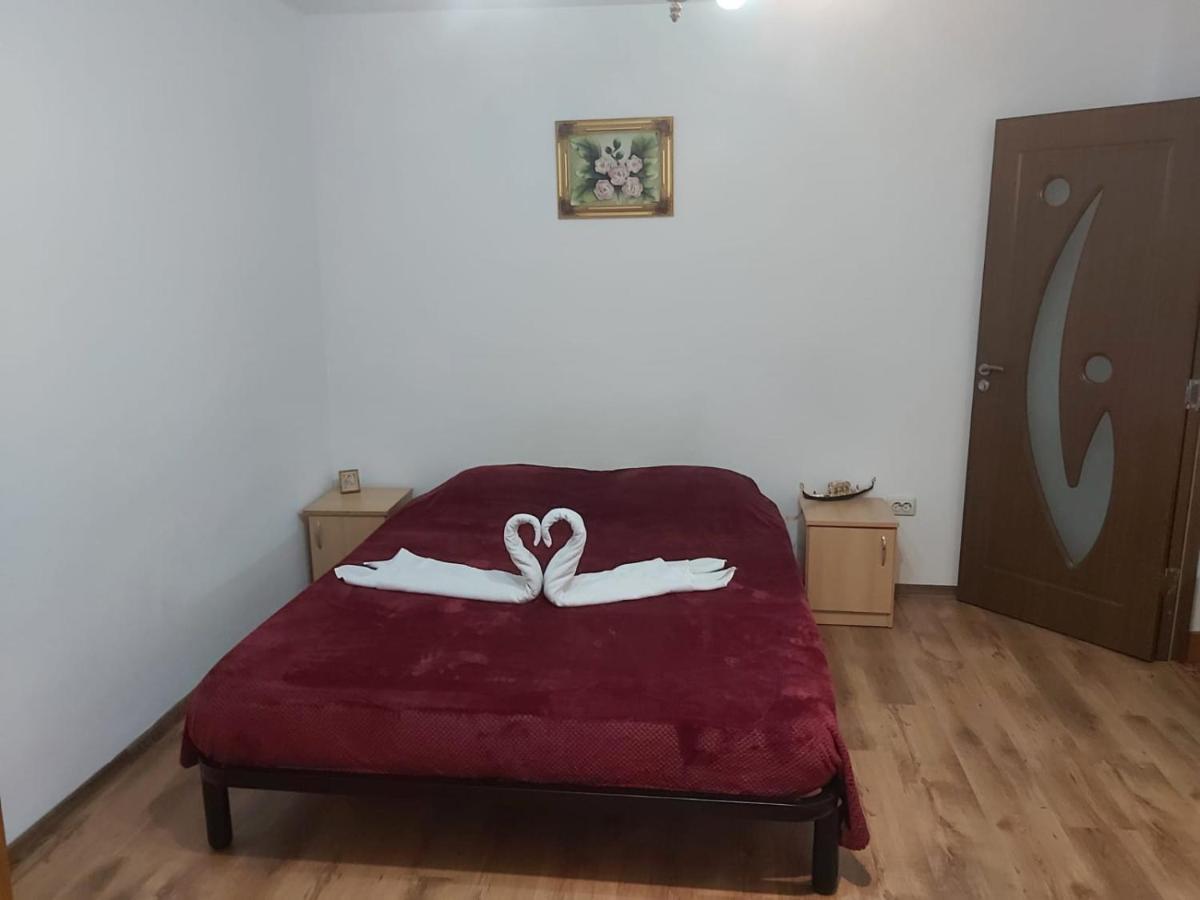 Apartament Nemira سلانيك مولدوفا المظهر الخارجي الصورة